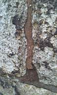 sandymount tower 10840.jpg